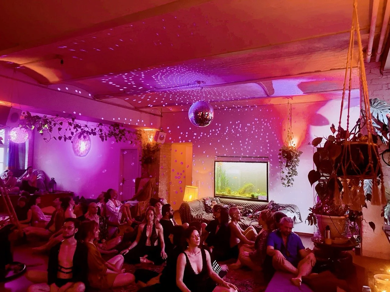 Elysian 80 Large.jpeg