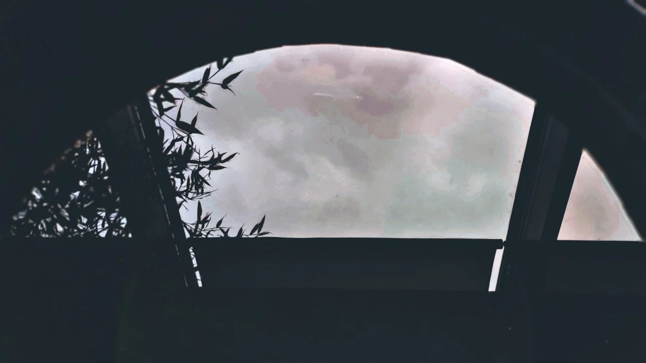 Playhouse Dream Nov22_0094 Large.jpeg