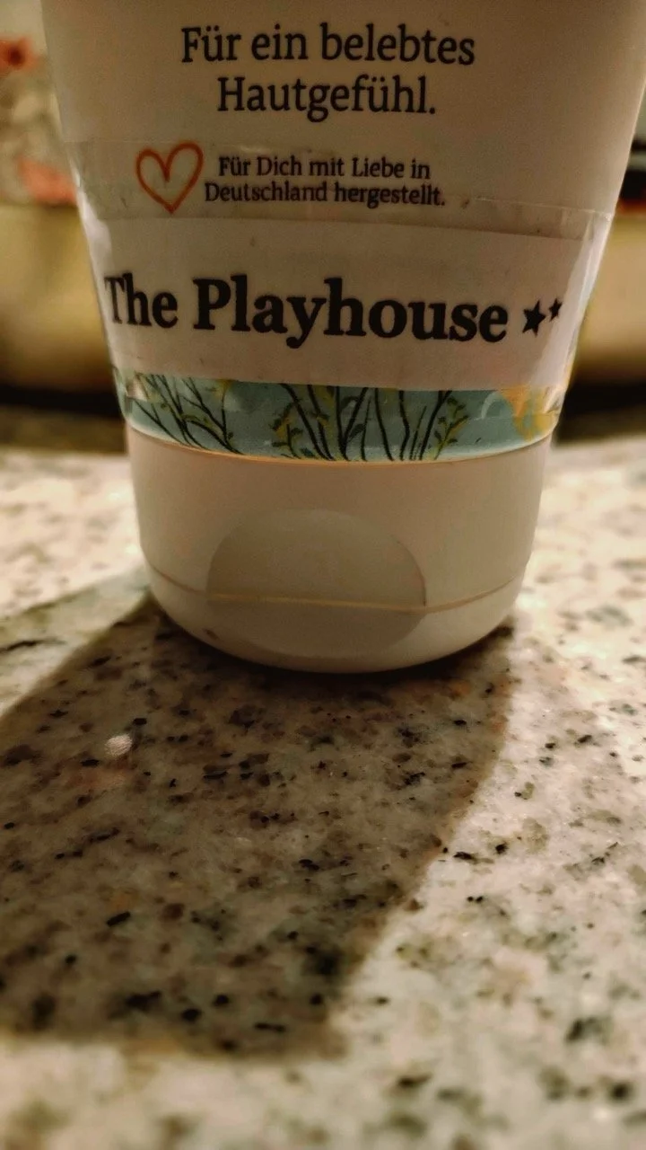 Playhouse Dream Nov22_0101 Large.jpeg