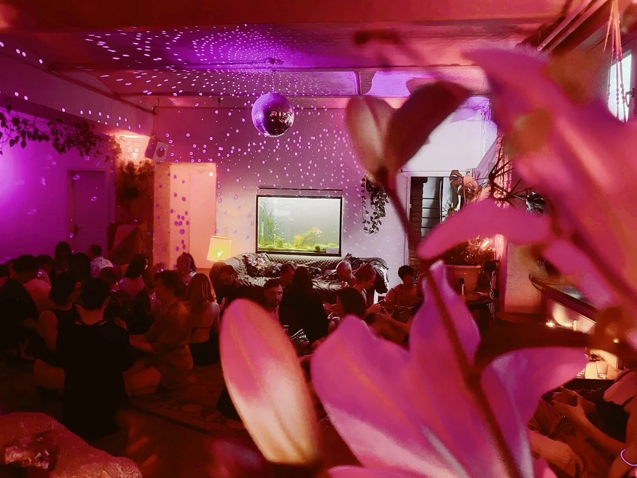 Elysian 89 Large.jpeg