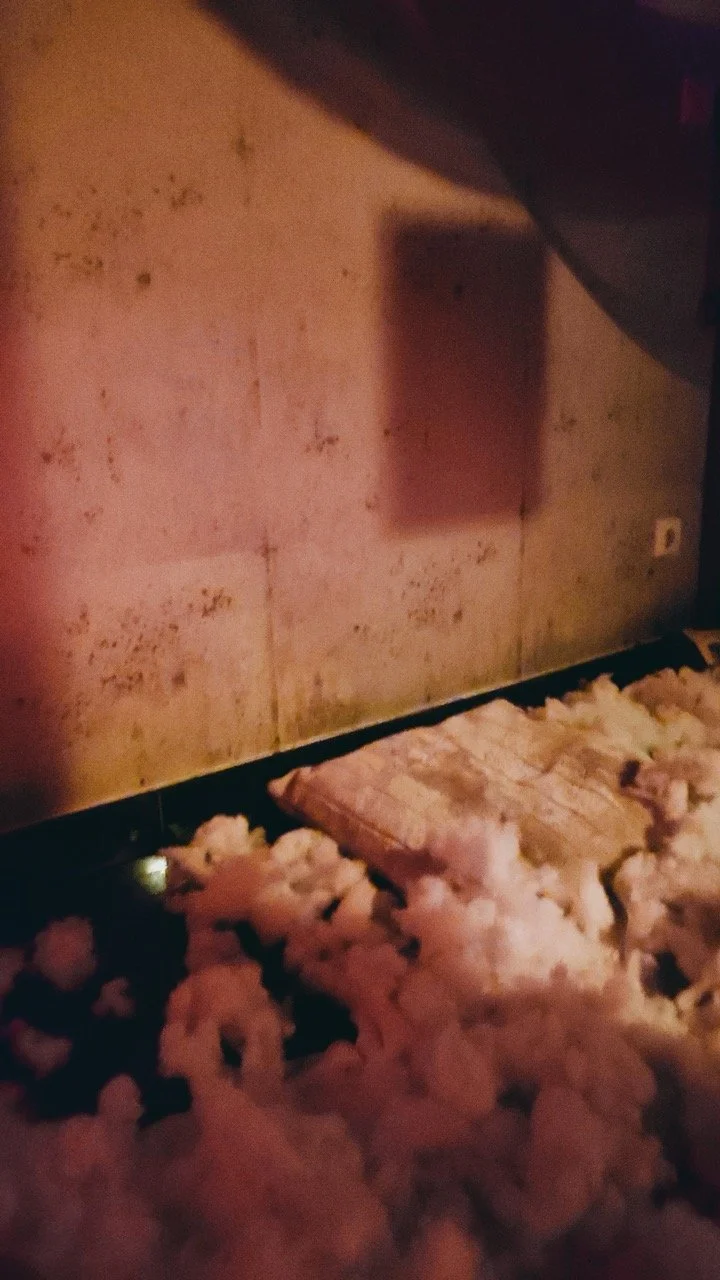 Playhouse Dream Nov22_0254 Large.jpeg