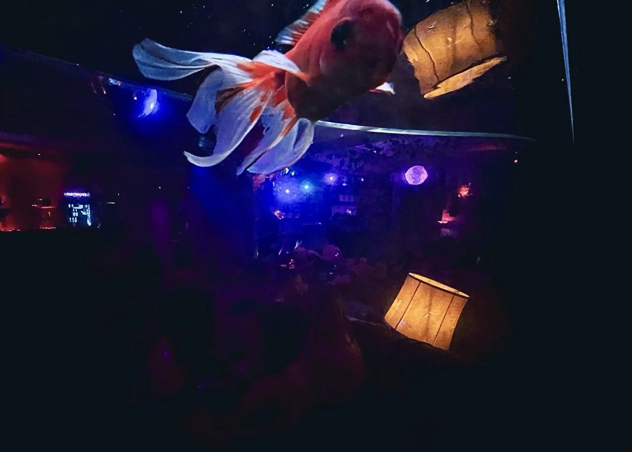 Elysian 397 Large.jpeg