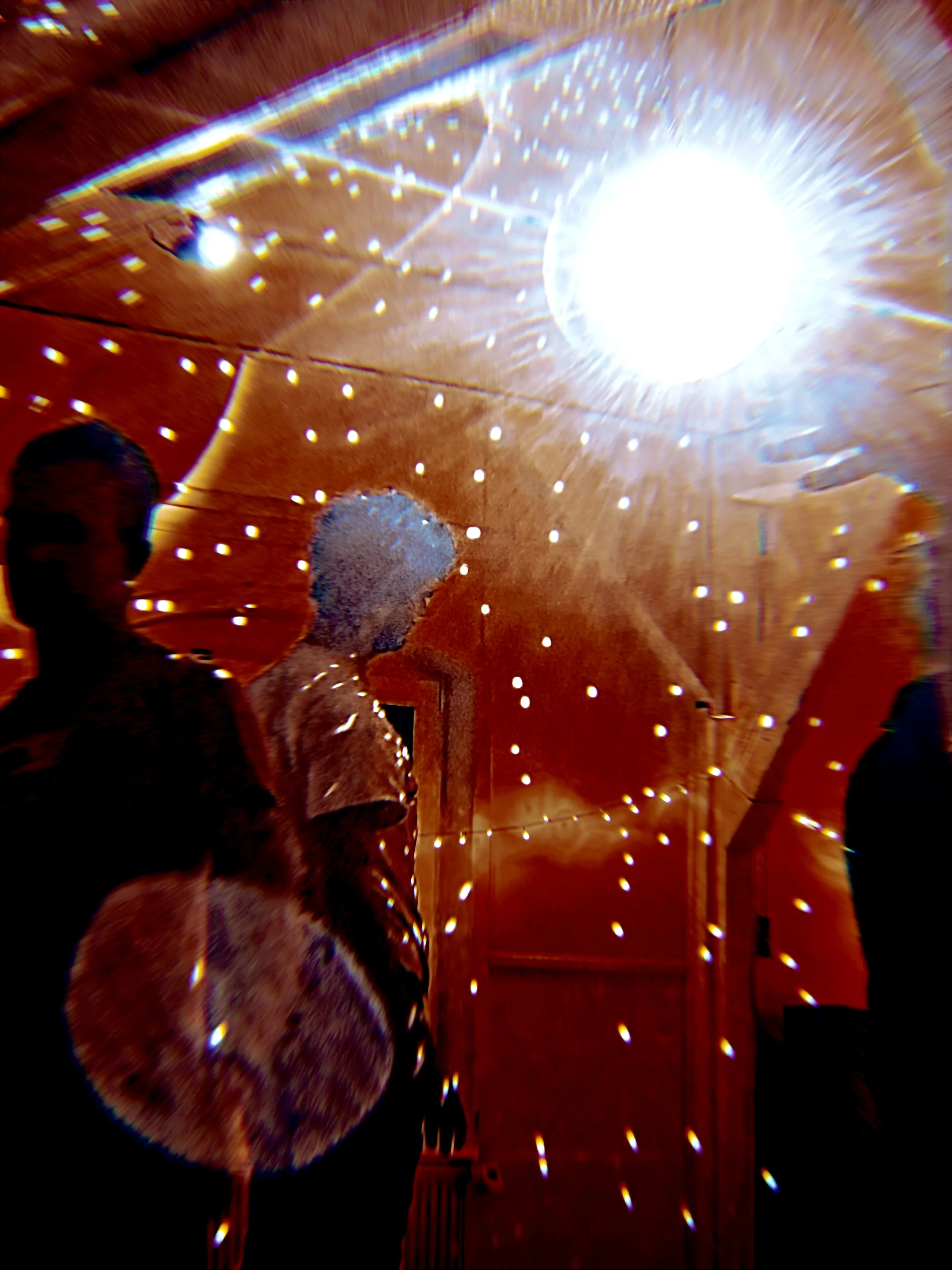 228  Deep Embodiment.jpg