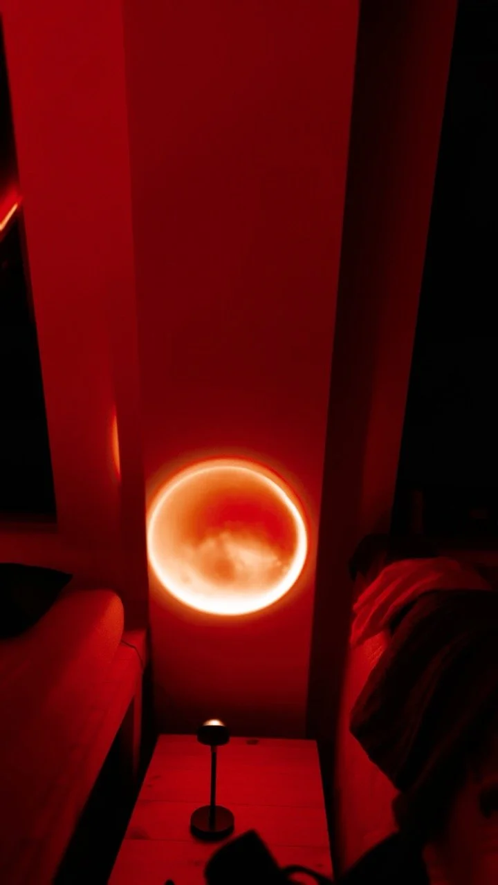 Playhouse Dream Nov22_0157 Large.jpeg