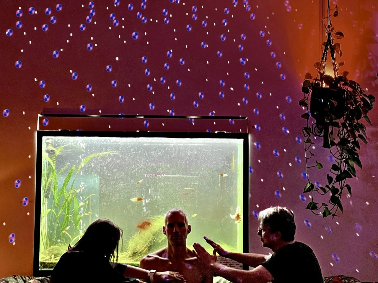 Elysian 123 Large.jpeg