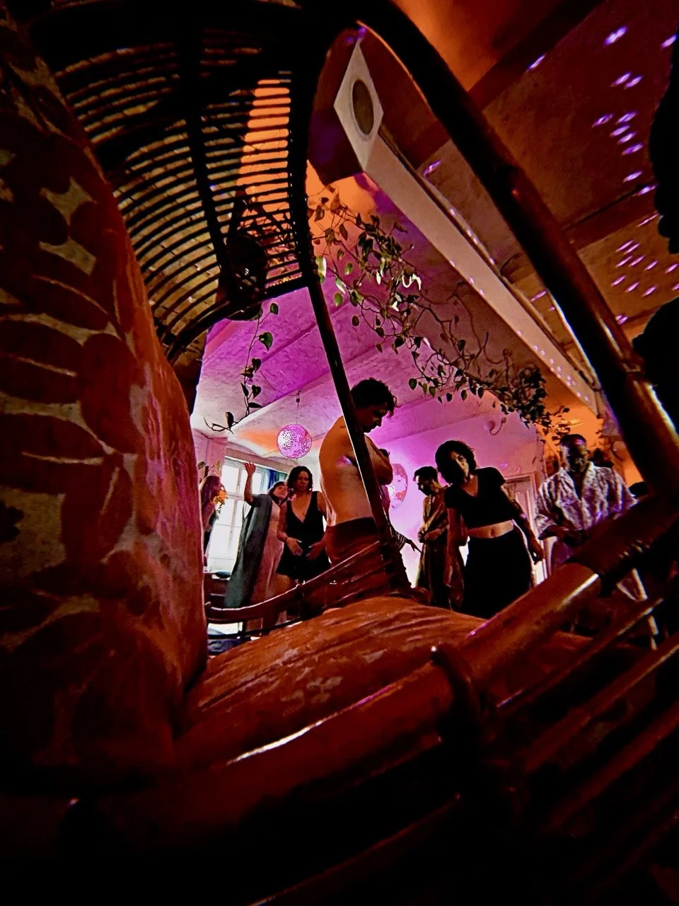 Elysian 16 Large.jpeg