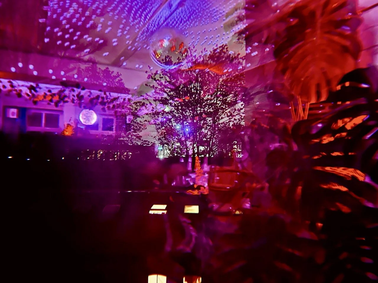 Elysian 315 Large.jpeg