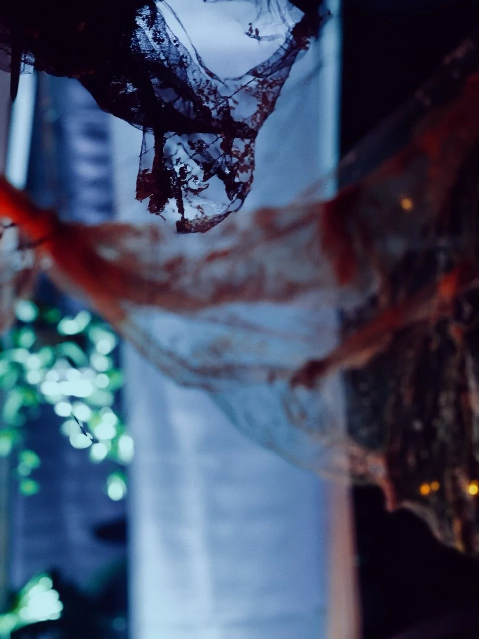 Playhouse Dream Nov22_0069 Large.jpeg