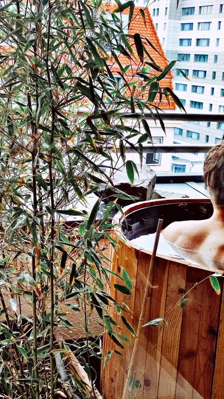 Playhouse Dream Nov22_0215 Large.jpeg