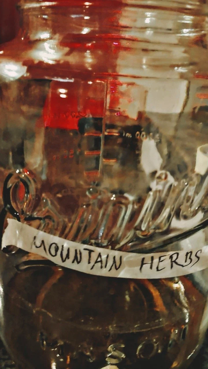 Playhouse Dream Nov22_0085 Large.jpeg