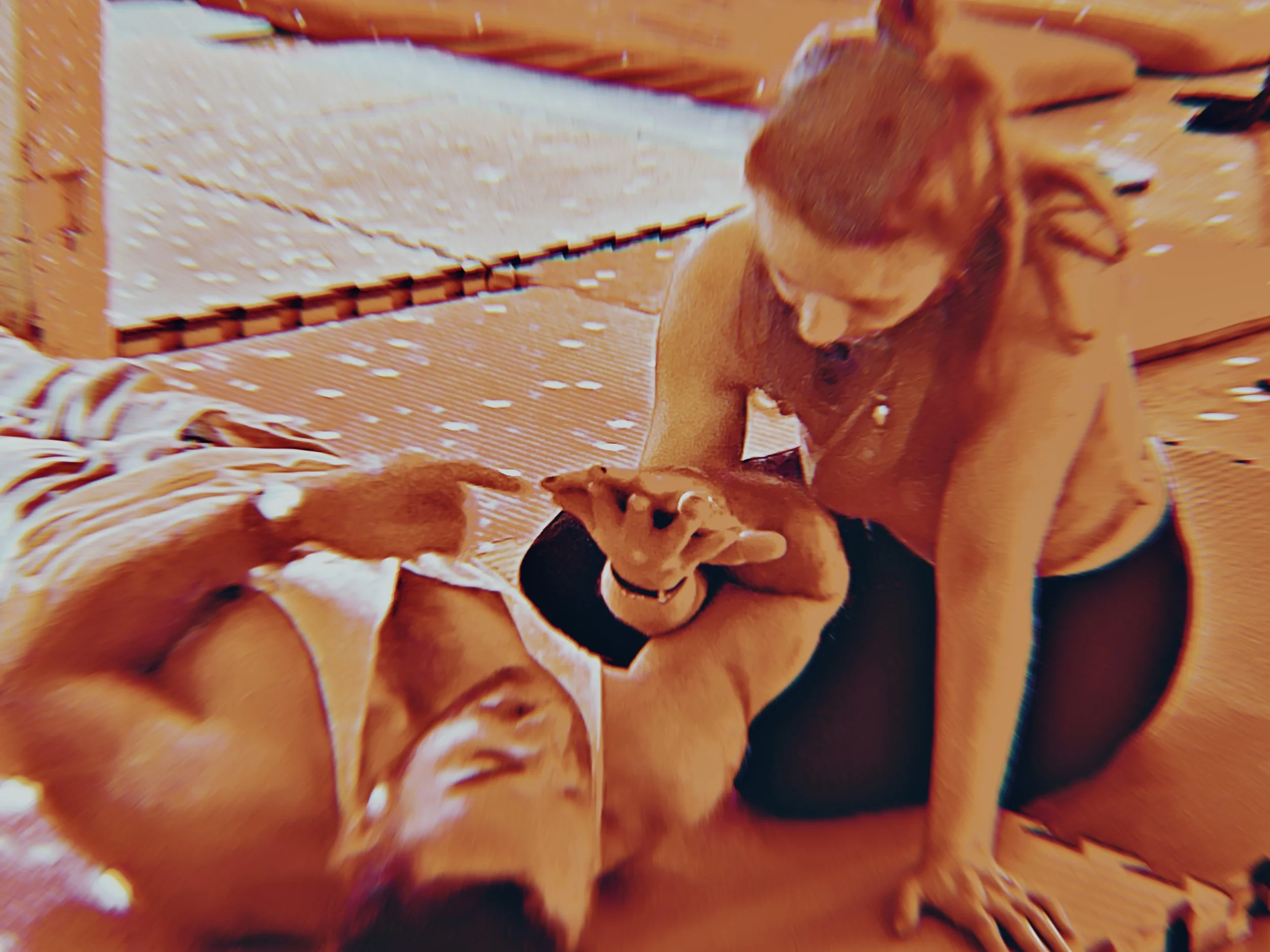 129  Deep Embodiment.JPG