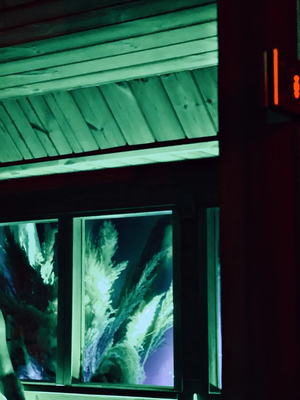 Playhouse Dream Nov22_0111 Large.jpeg