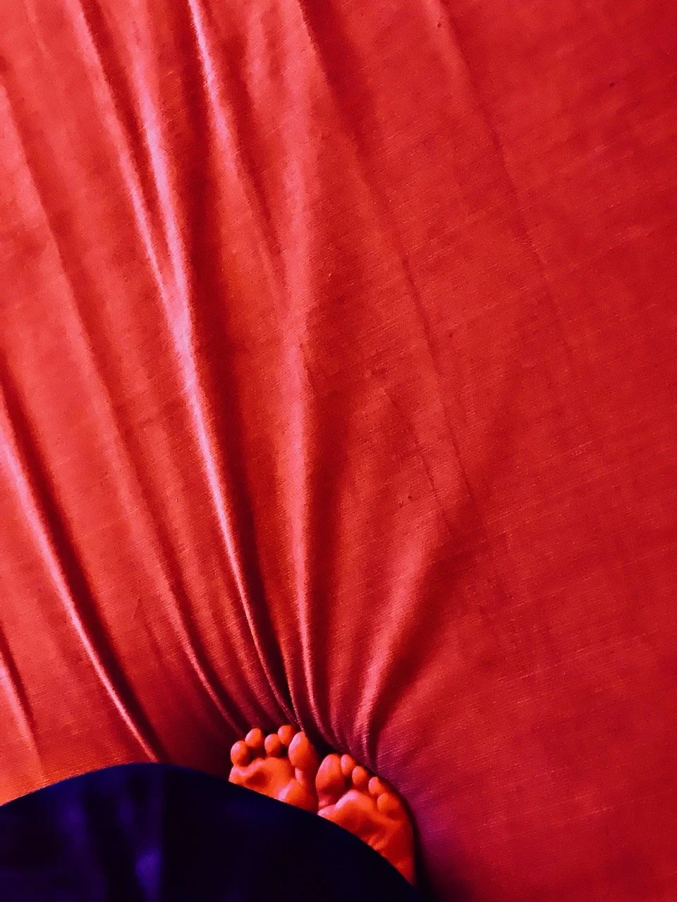 Playhouse Dream Nov22_0153 Large.jpeg