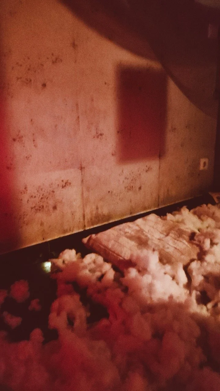 Playhouse Dream Nov22_0129 Large.jpeg