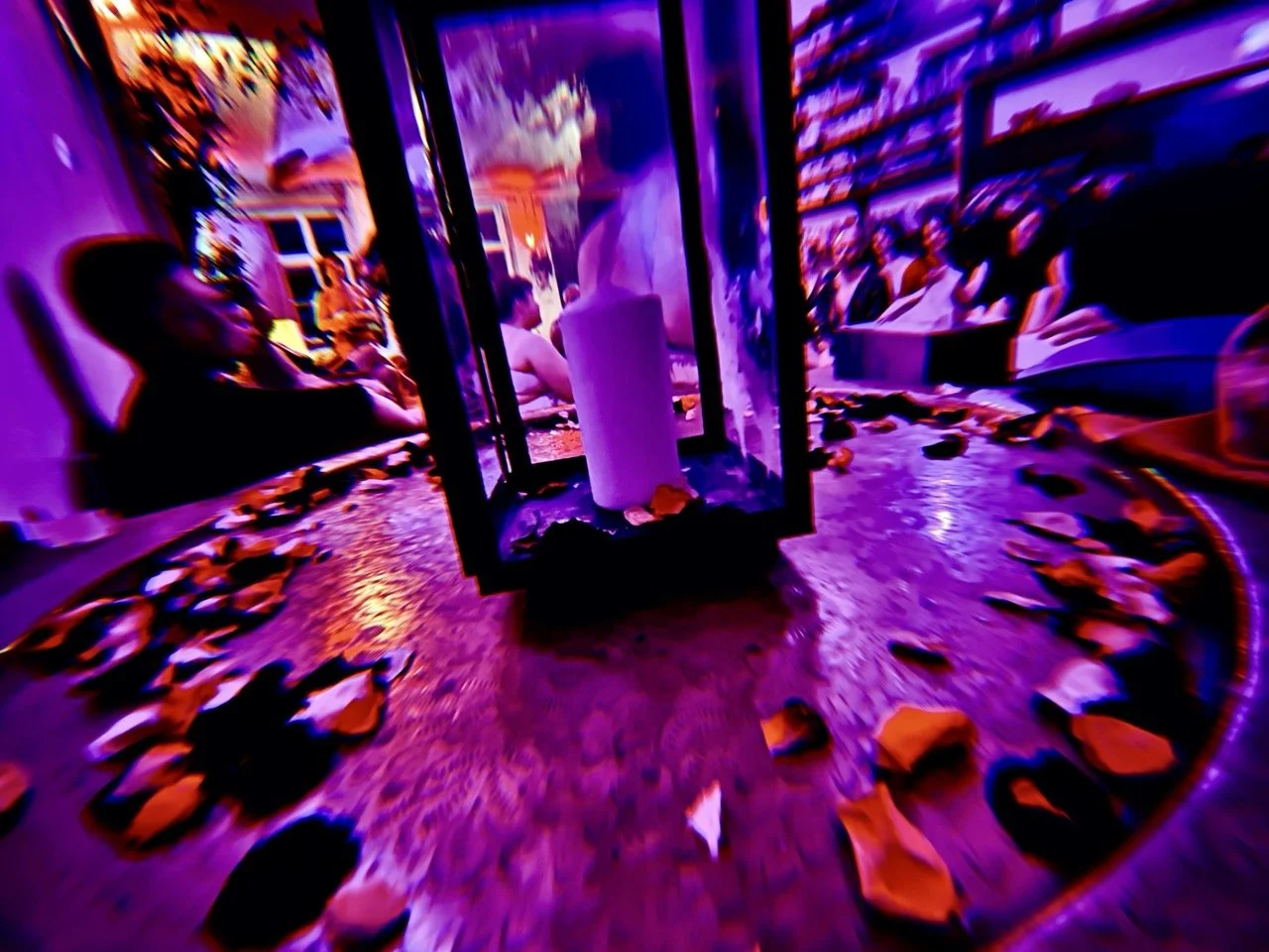 Elysian 168 Large.jpeg