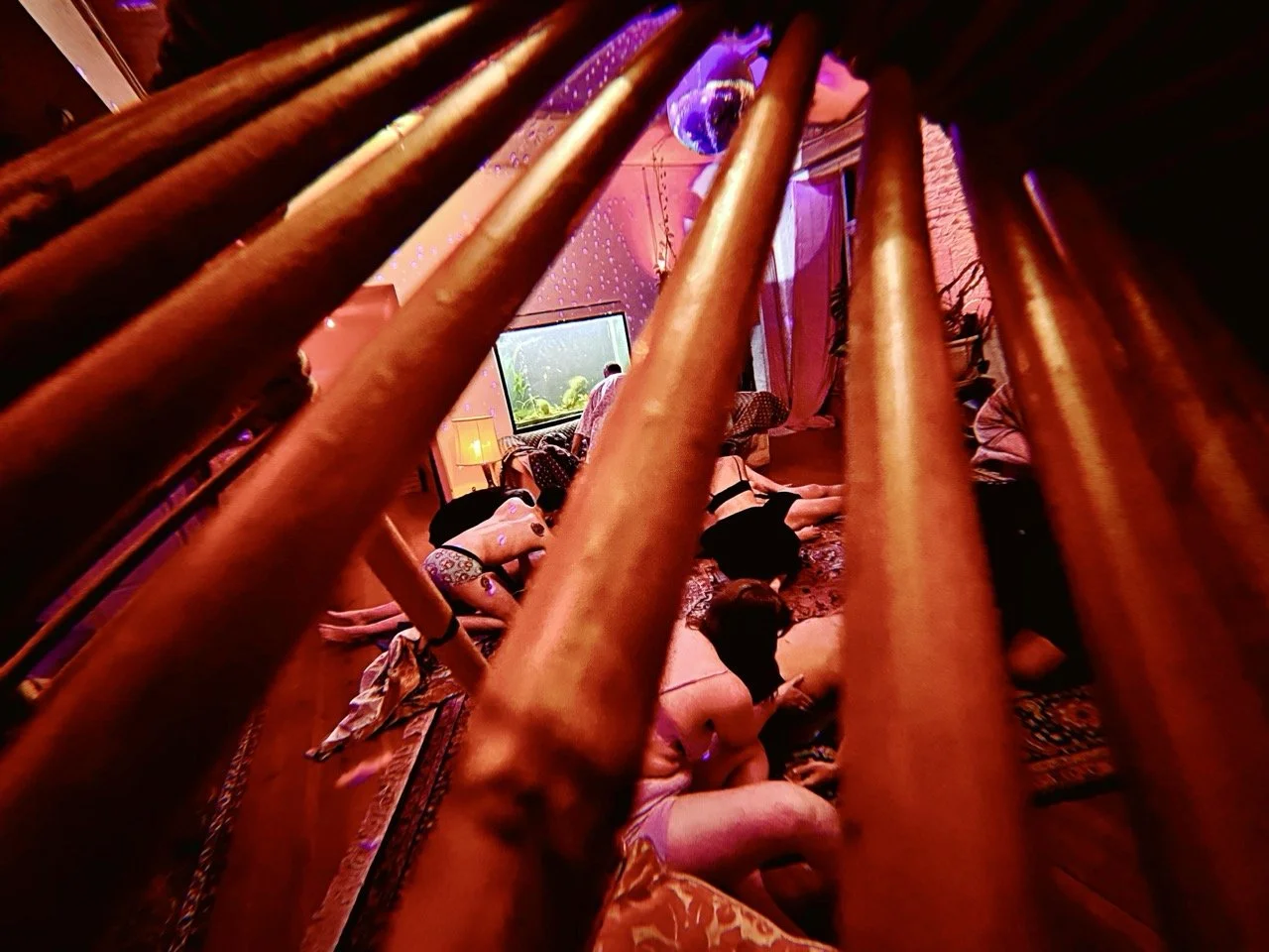 Elysian 207 Large.jpeg