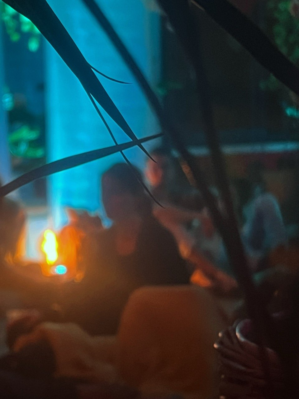 Playhouse Dream Nov22_0019 Large.jpeg