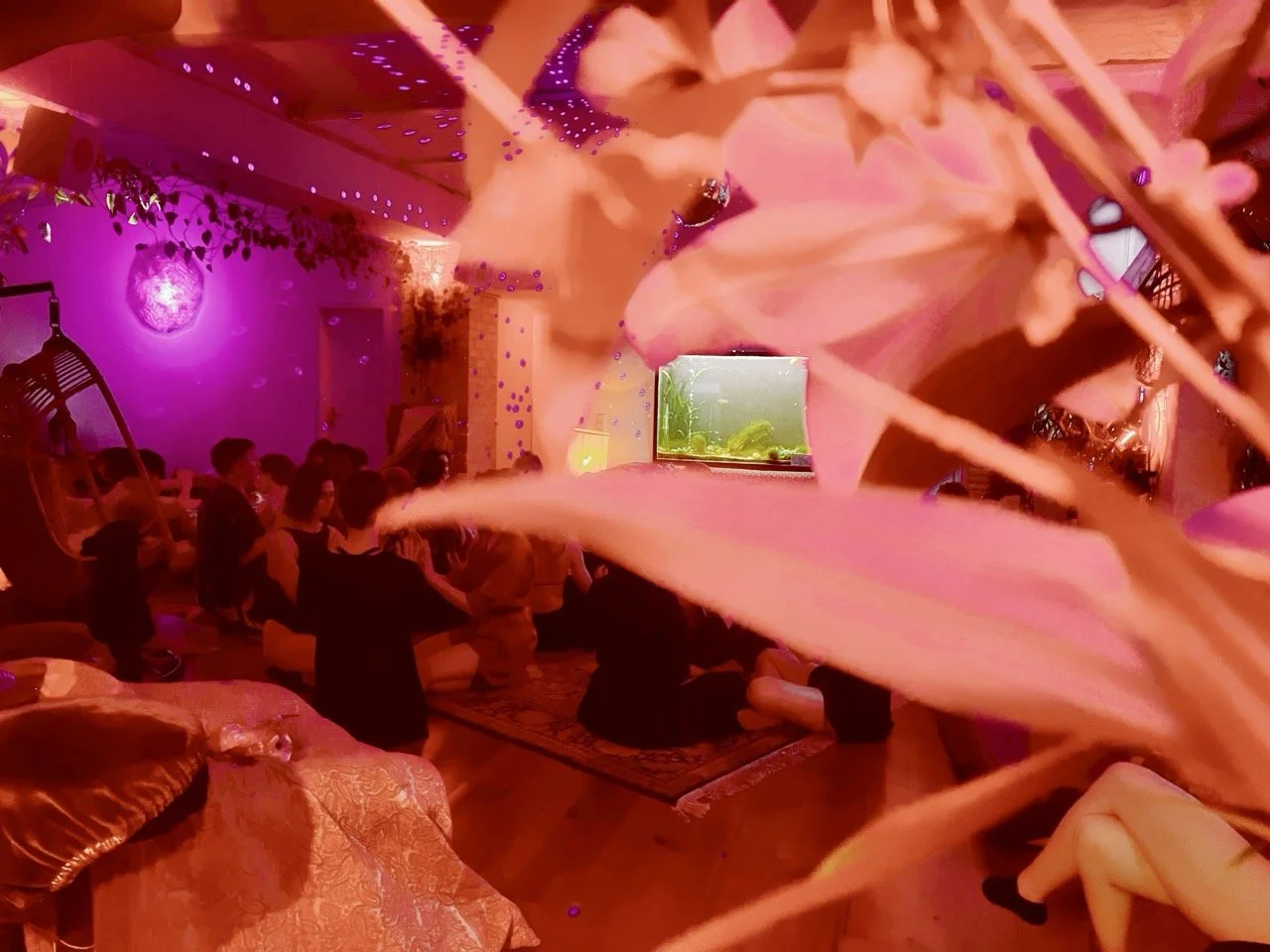 Elysian 85 Large.jpeg