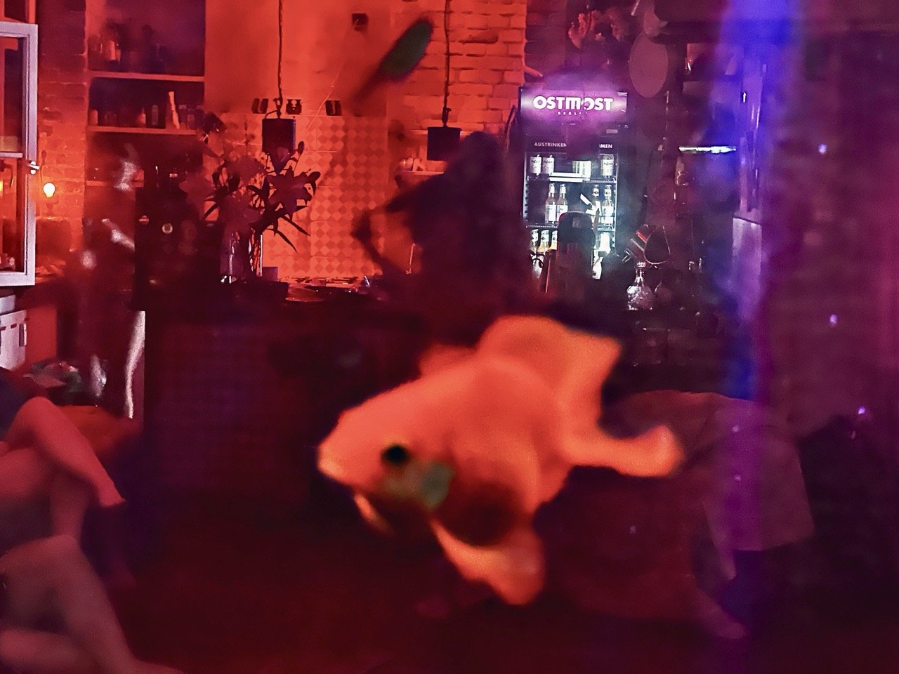 Elysian 360 Large.jpeg