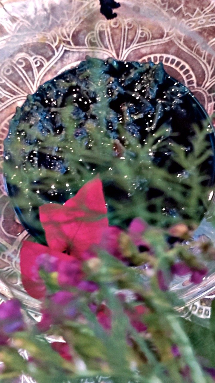 Playhouse Dream Nov22_0043 Large.jpeg