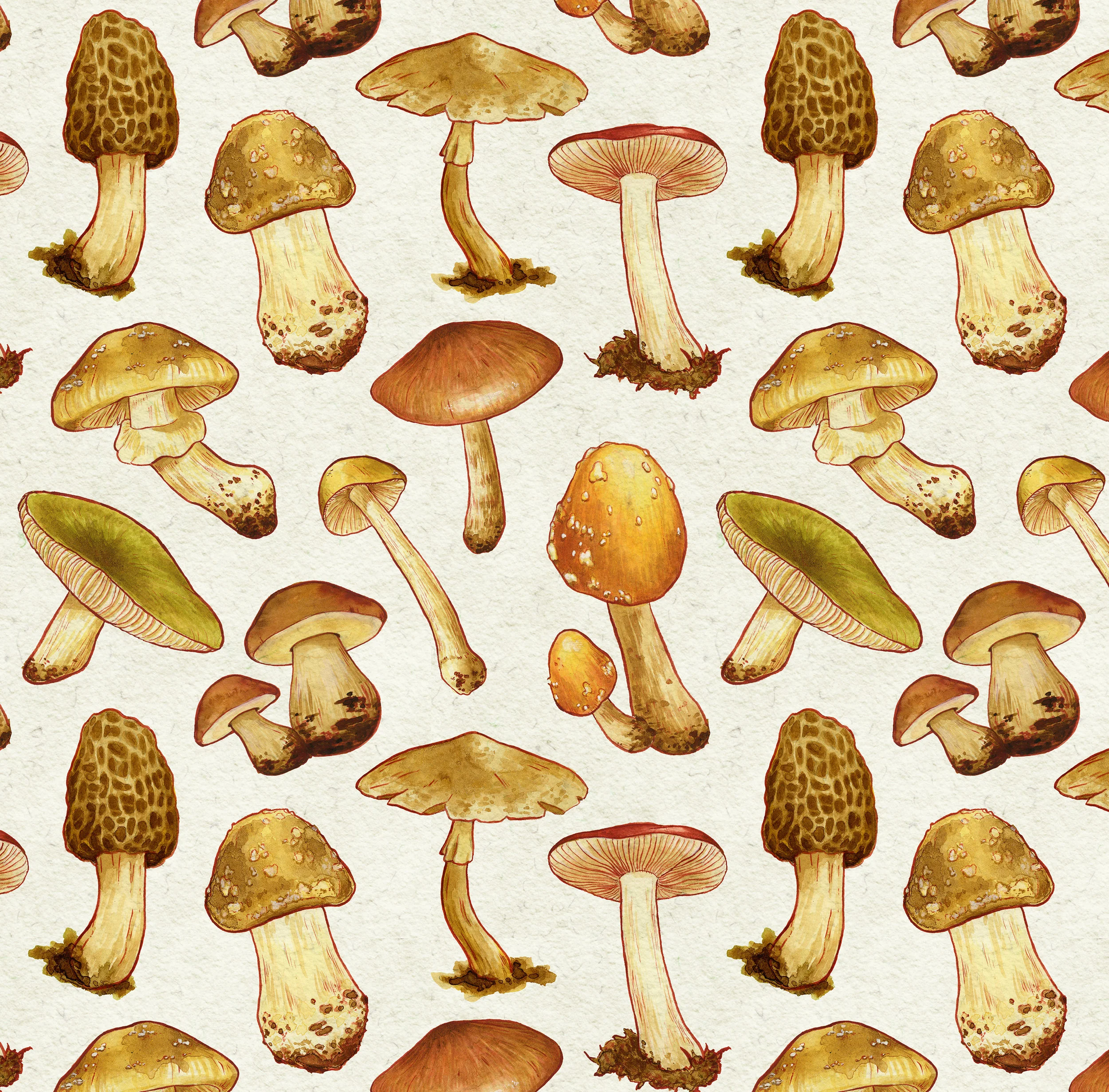 Mushroom-Pattern-Design-Kenzie-Busby.jpg