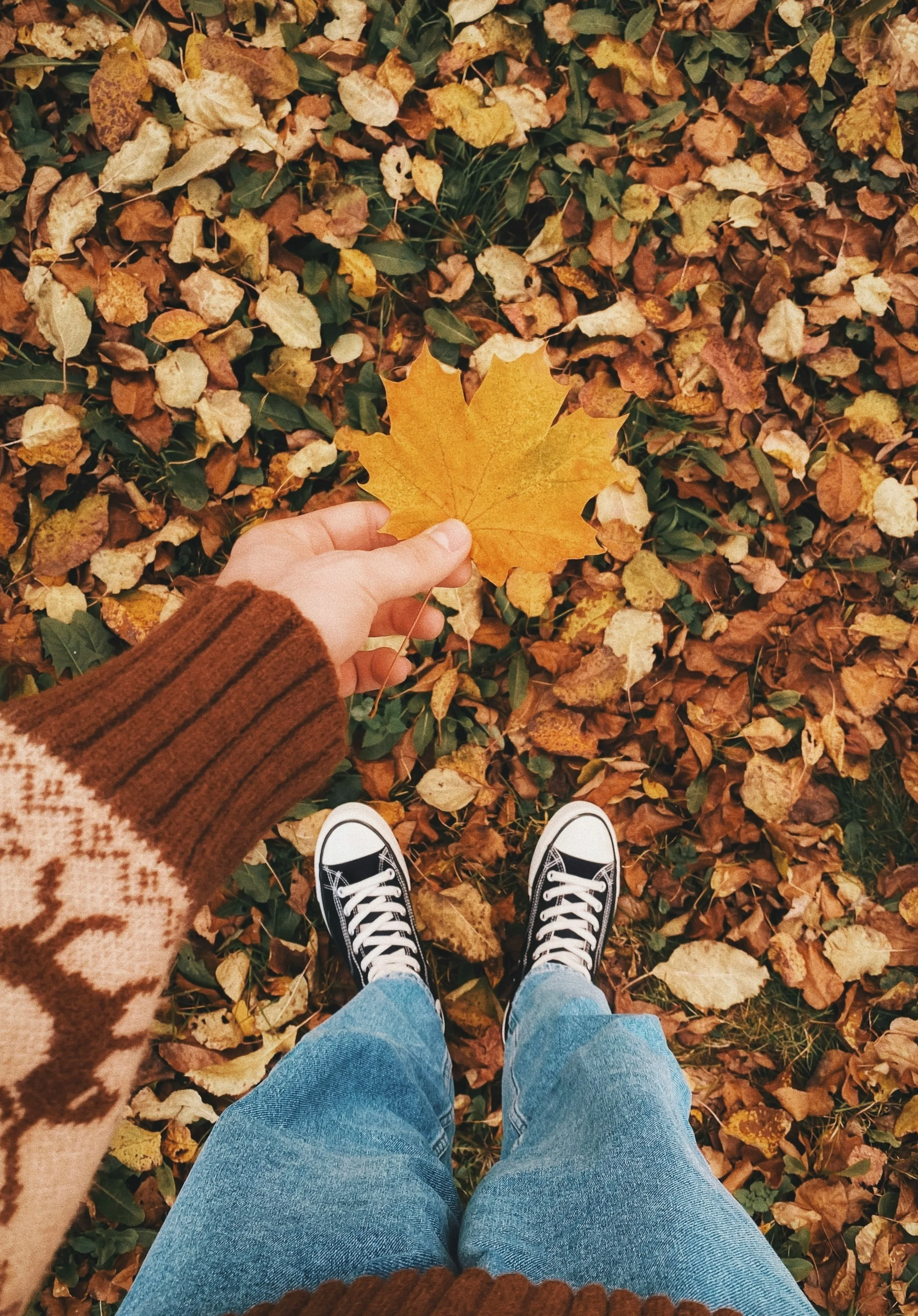 Marches Santé Automnales - L'automne intérieur