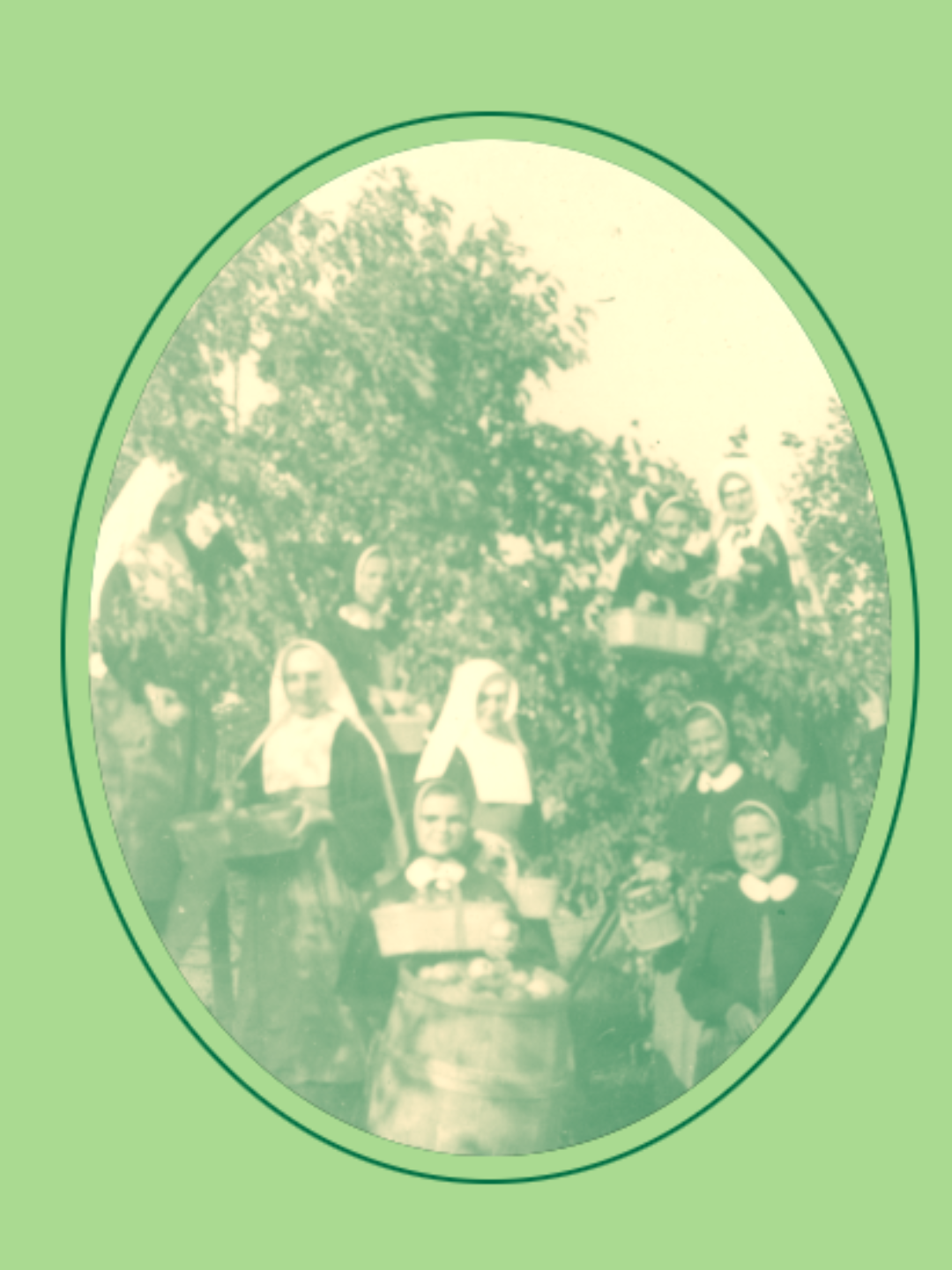 Sortie D'été Musée et Pique-Nique