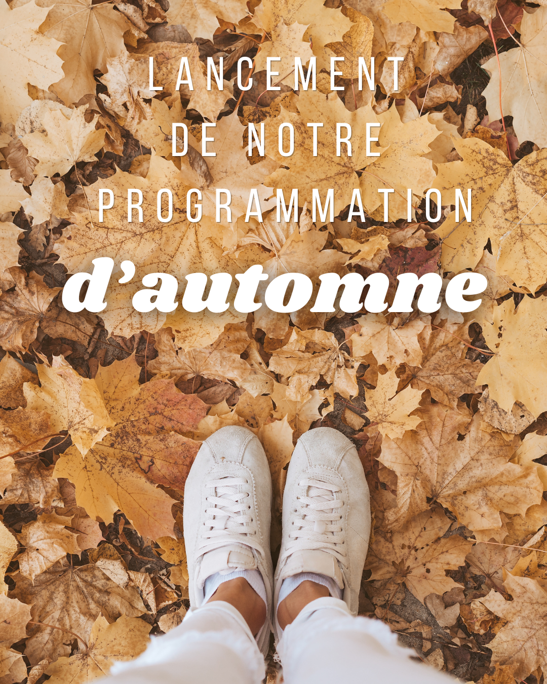 Lancement de notre programmation d’automne