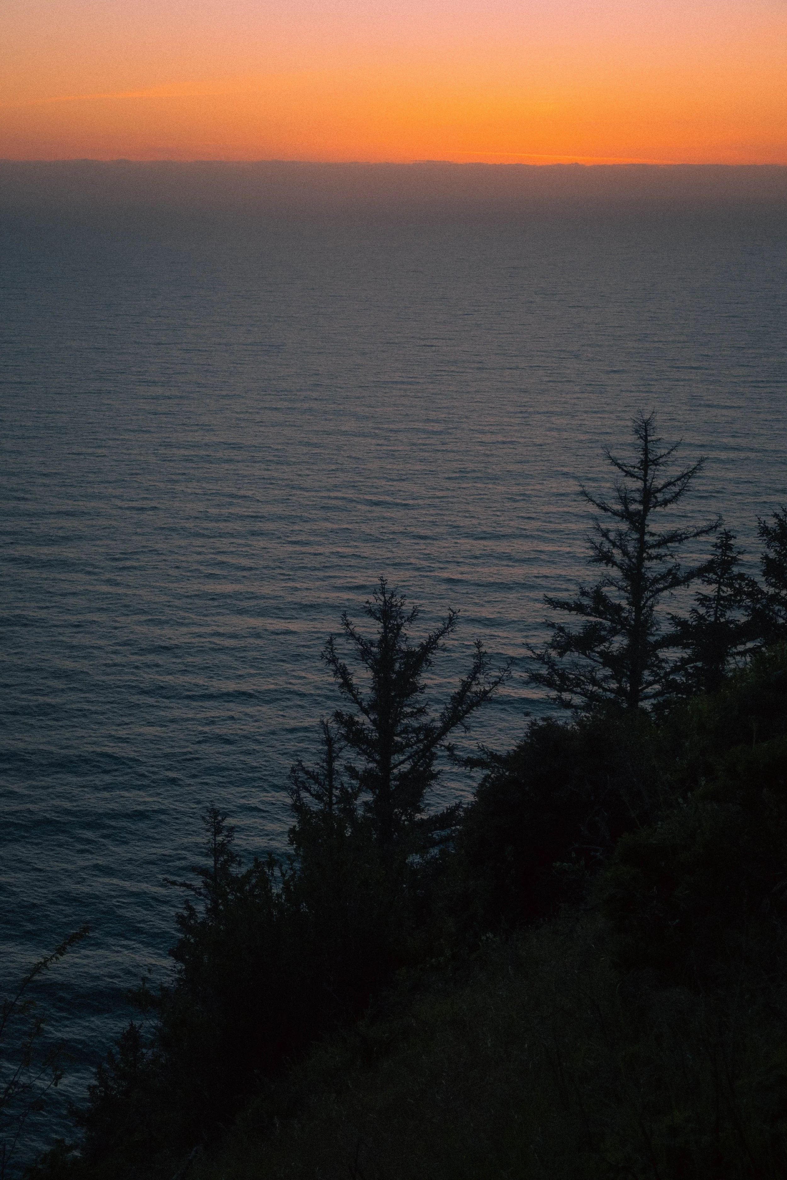 _DSF6869.jpg