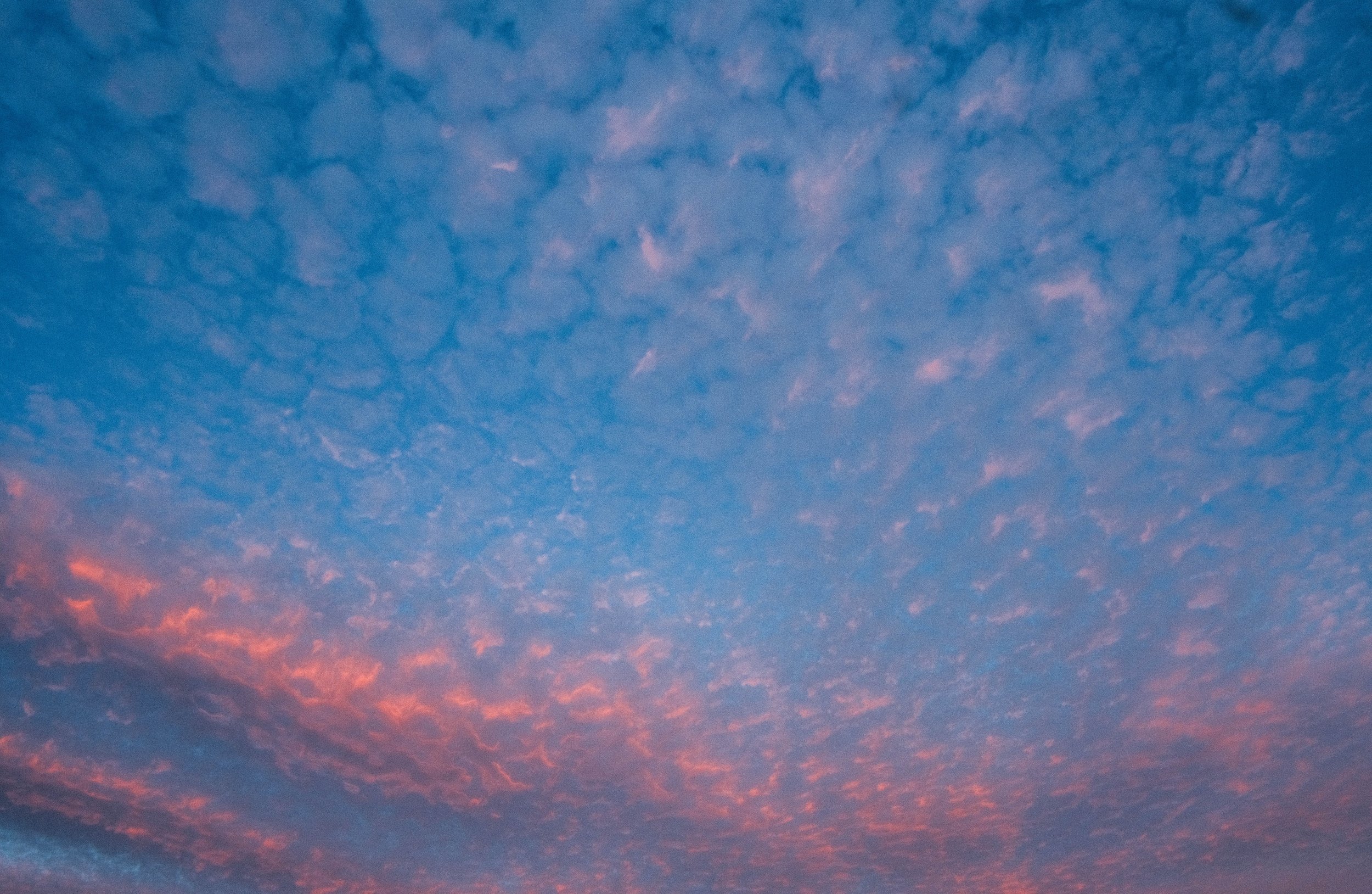 DSCF8161.jpg