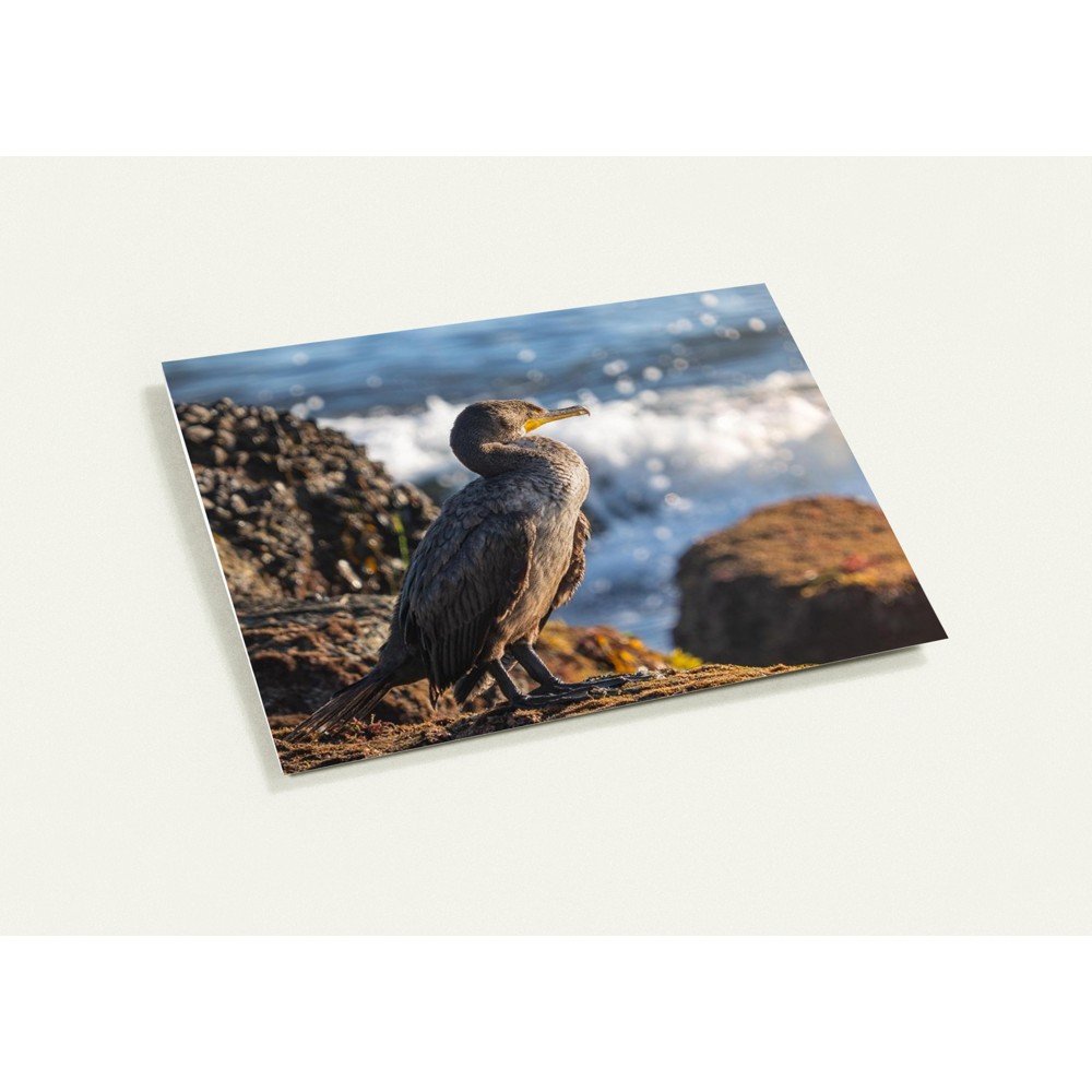 Cormorant Thank You Cards
