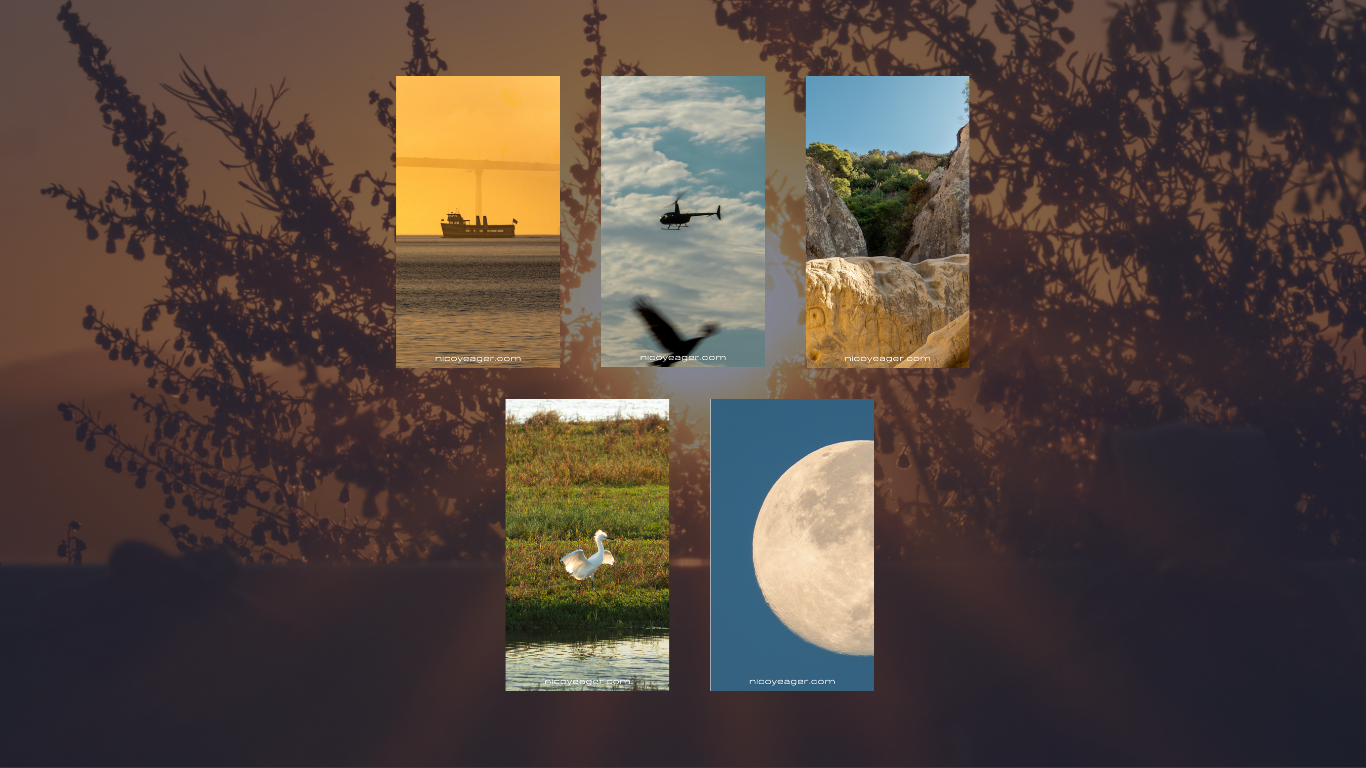 5 Nature Wallpapers for Phones