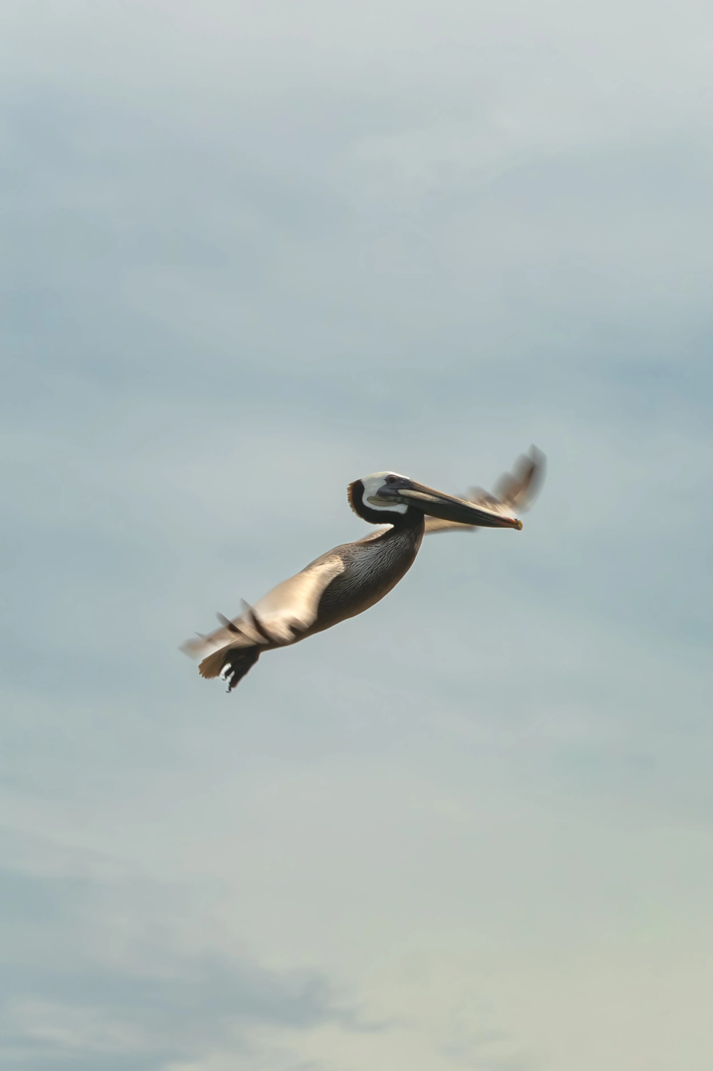 DSC05441-2.jpg