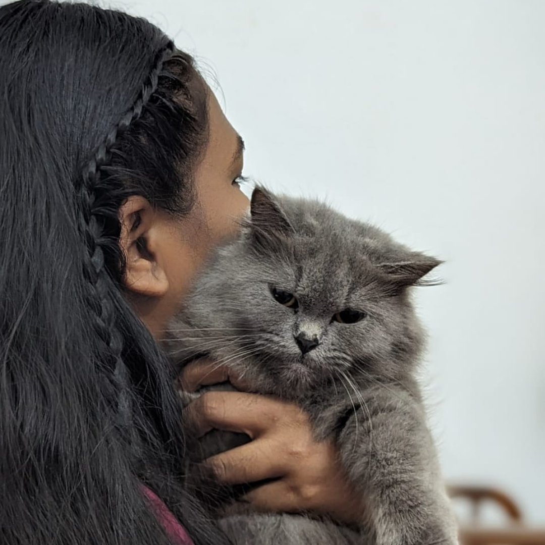 FellowKitty Love from Community Luna and Madhavi.png