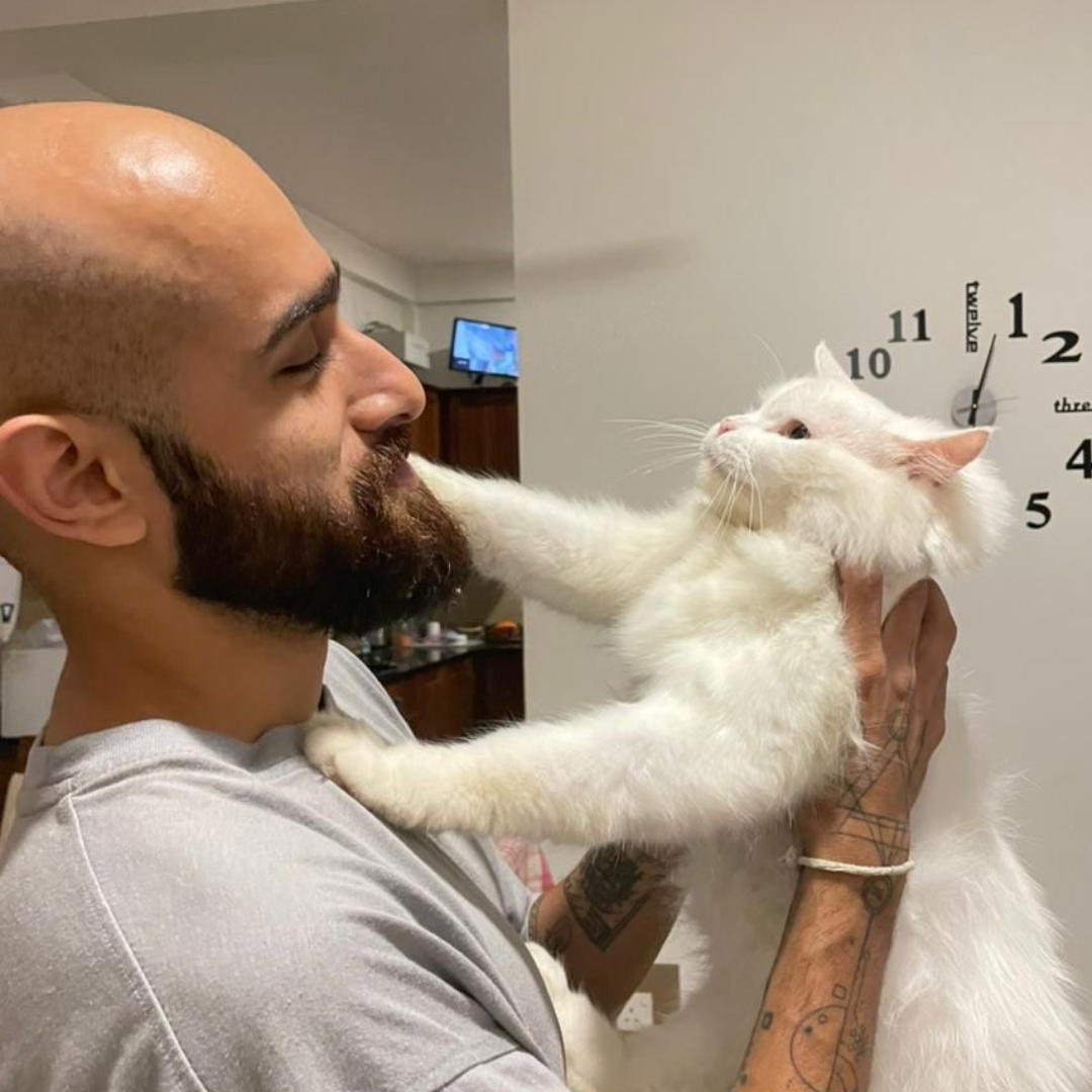 FellowKitty Love from Community Georgie and Daniel.png