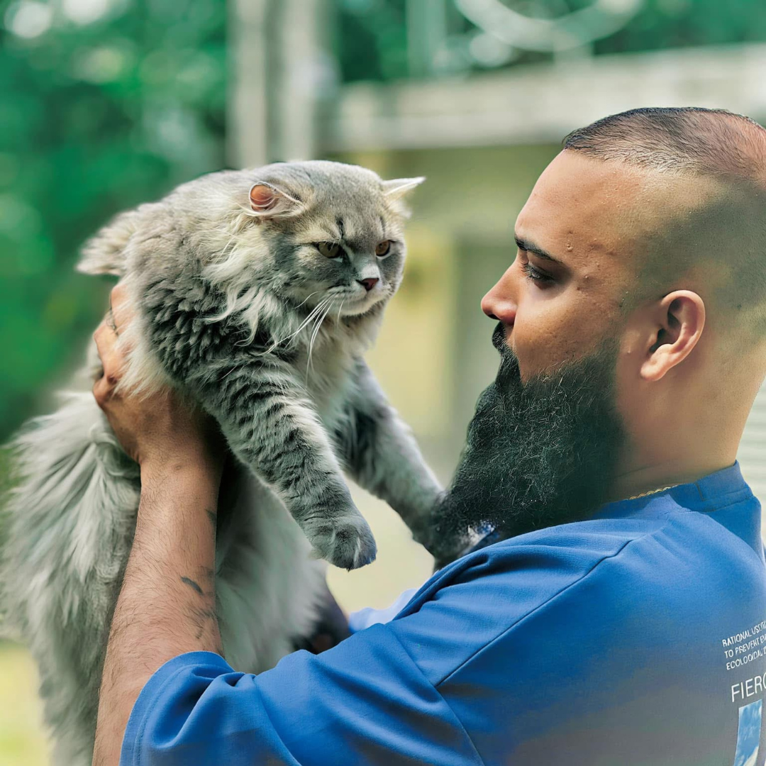 FellowKitty Love from Community Charlie and Asintha.png