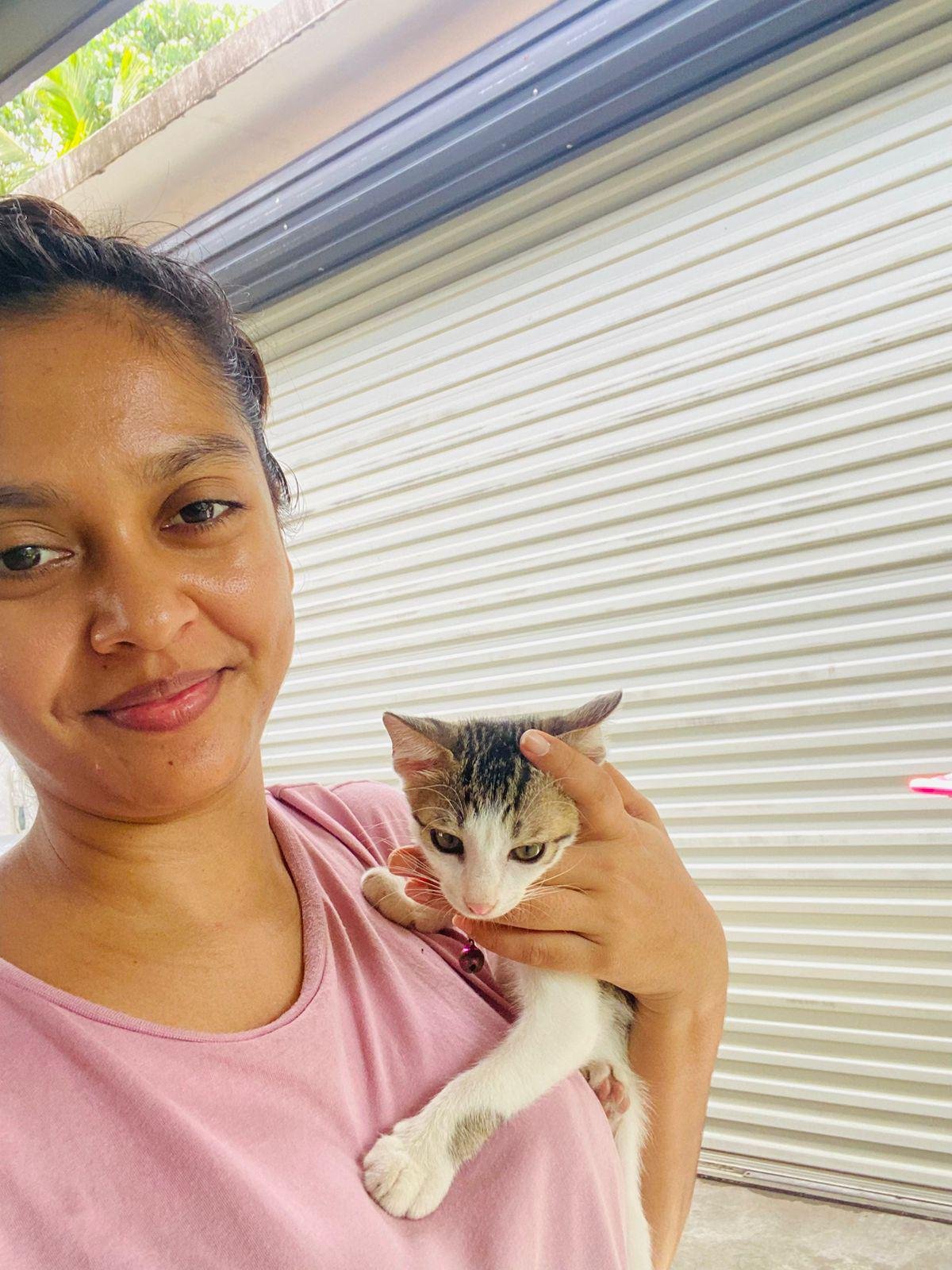 FellowKitty Love from Community Luna and Hansi.jpeg