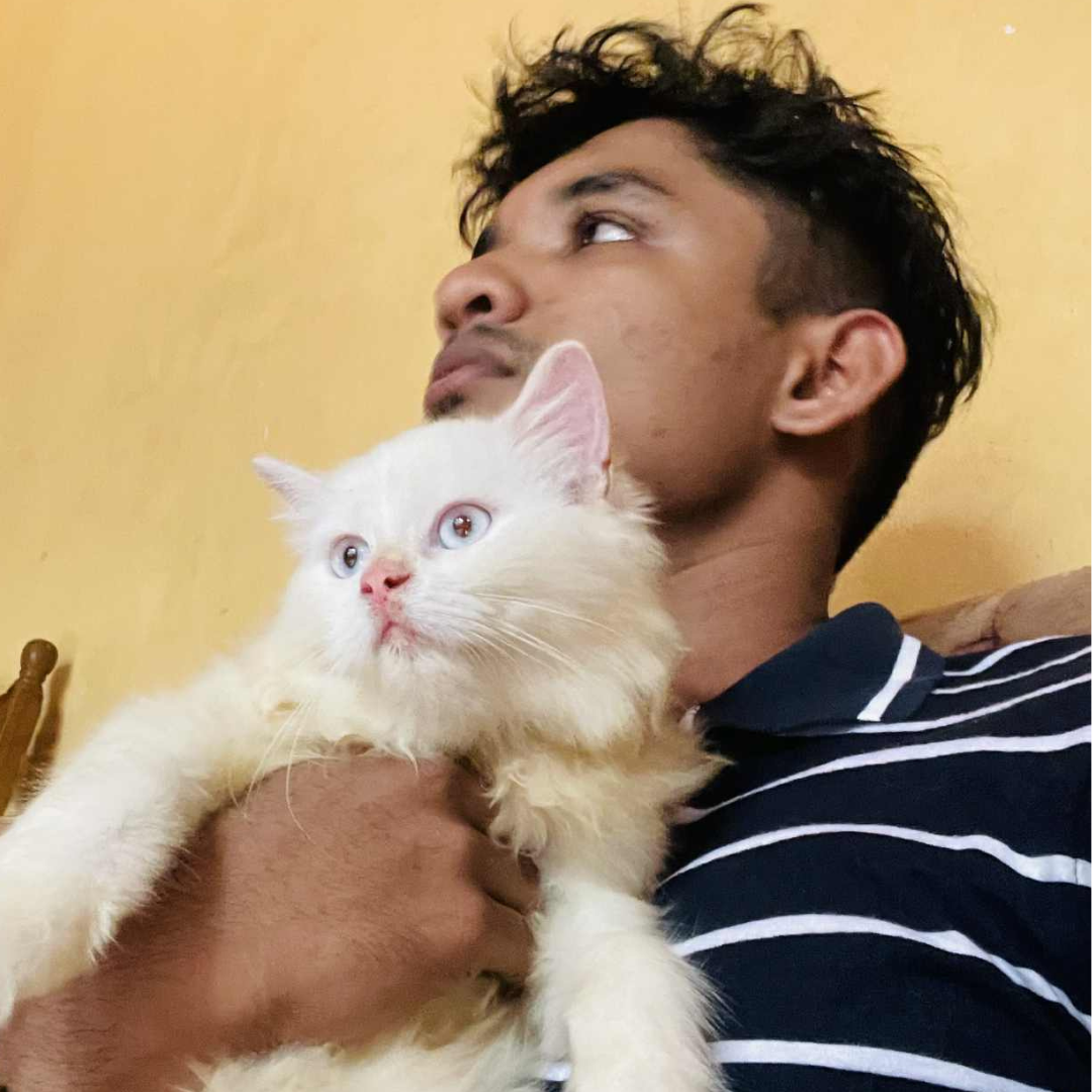 FellowKitty Love from Community Snowi and Sheran.png