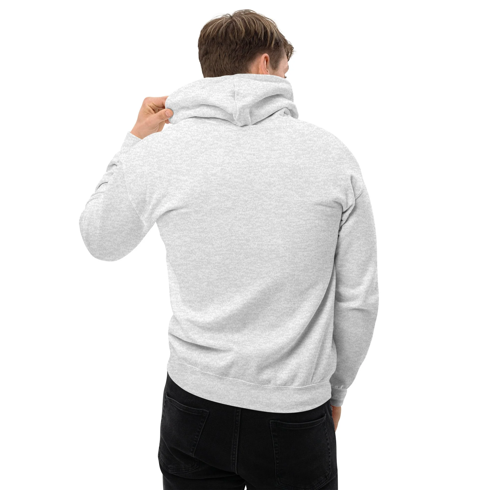 unisex-heavy-blend-hoodie-ash-back-67b4b1c74d117.jpg