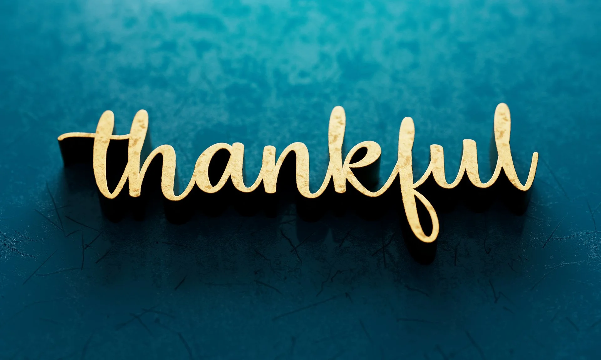 The Thankful Pilgrims