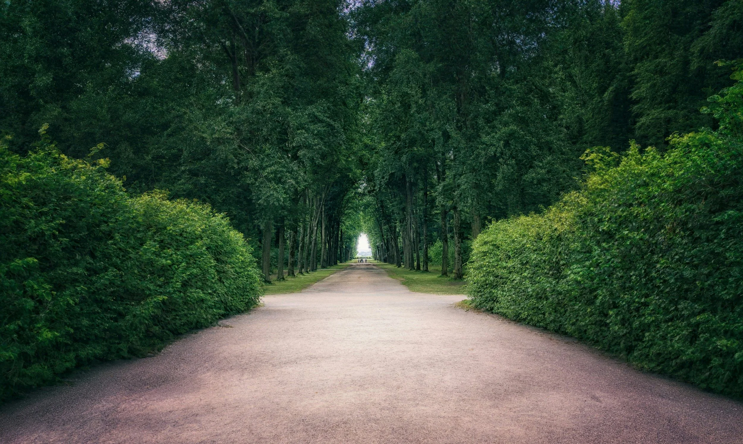 I am The Way, The Truth, And the Life