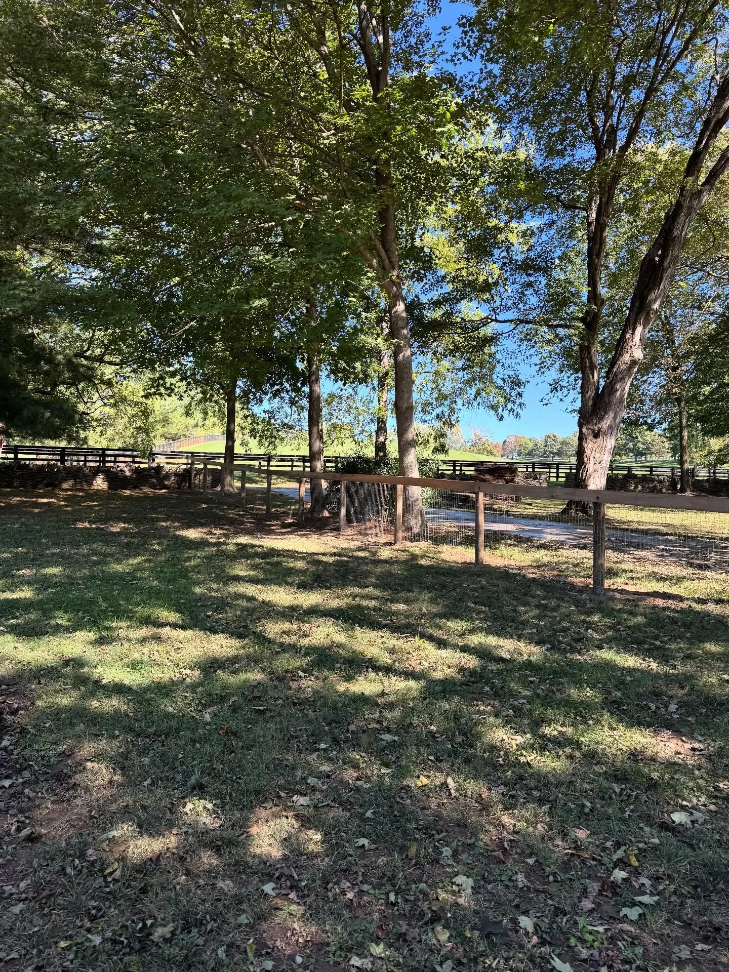 Thanks Ashford Stud for the farm house work. #privacyfence #farmfence #farm #yellowpine #fencing #cjhfencing #fence