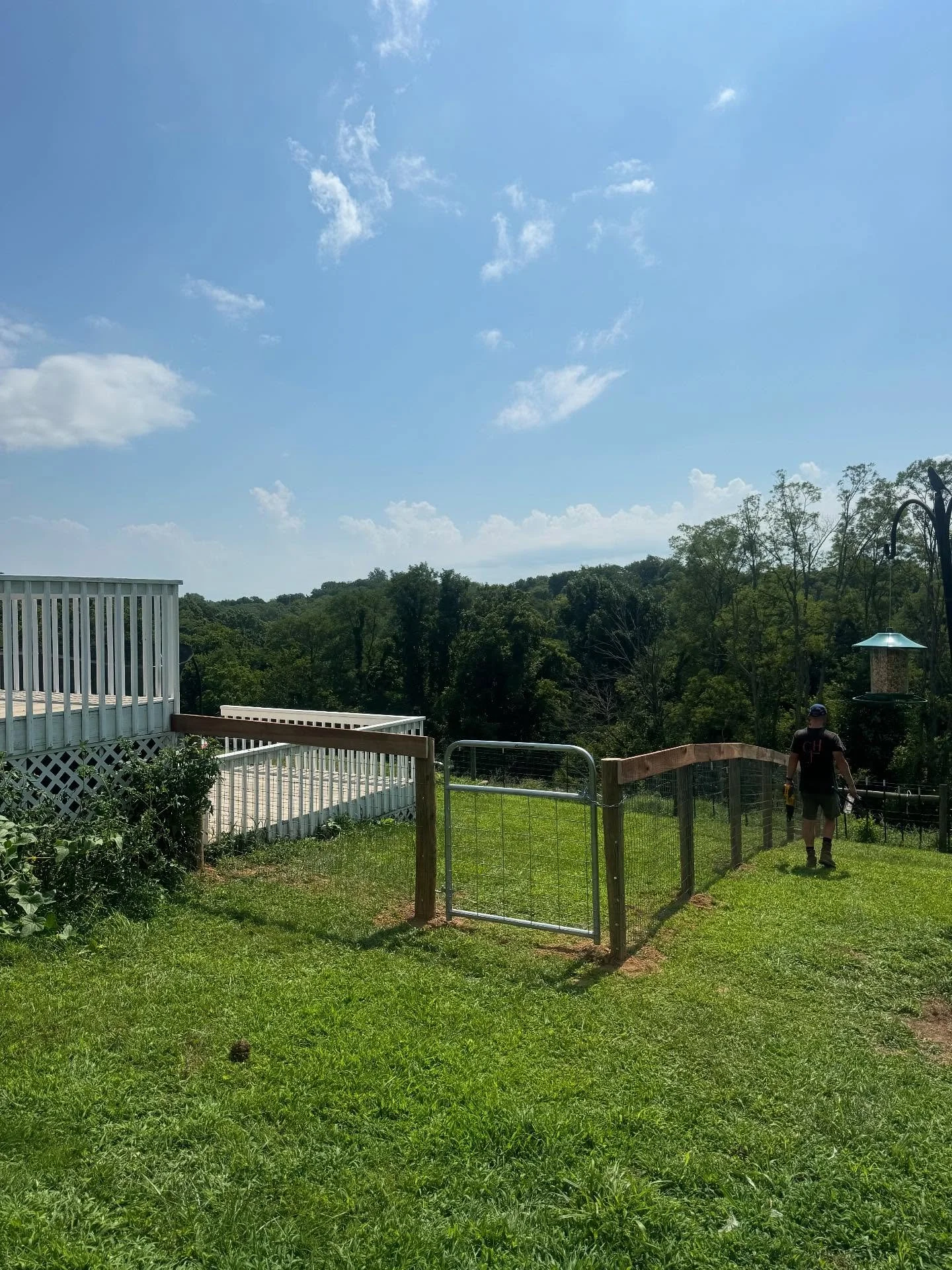 Little top board and wire done in Richmond. #poplar #wire #farmstyle #cjhfencing #fence #woodwork