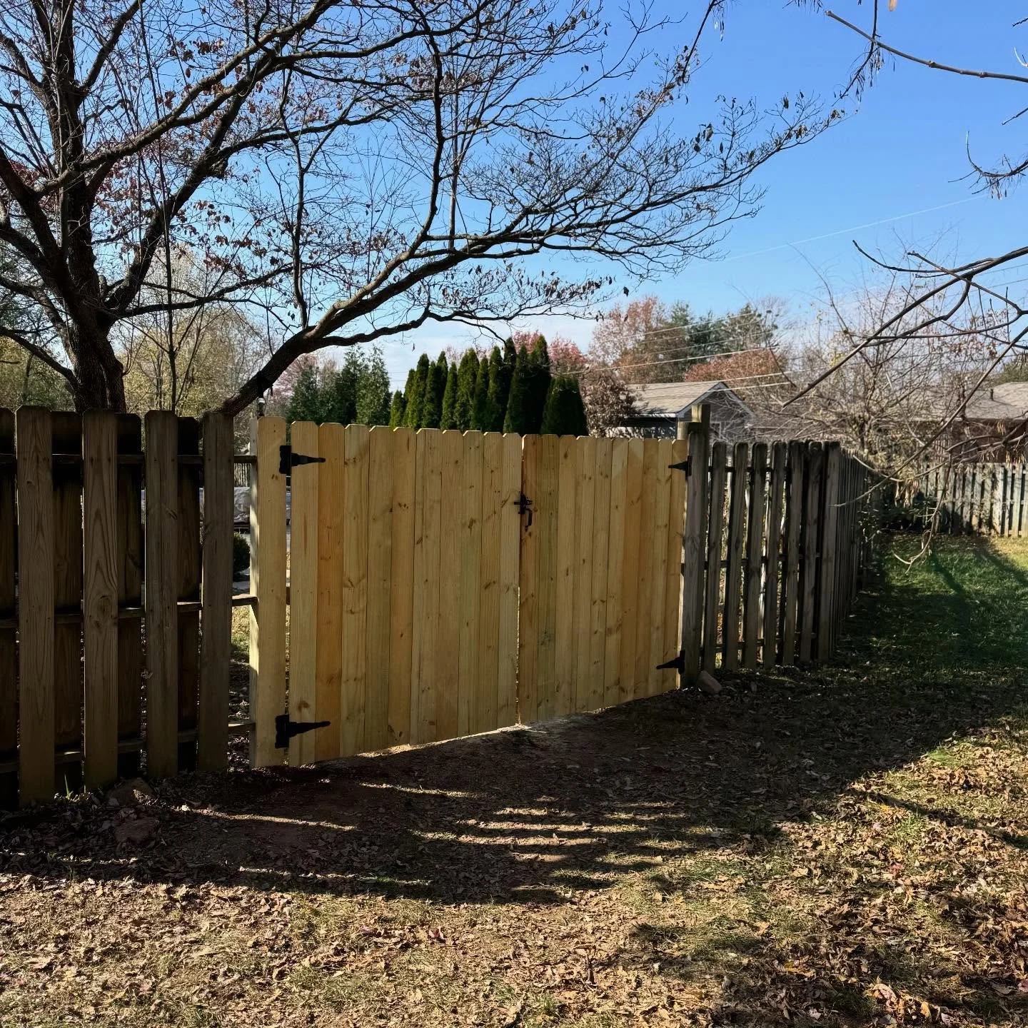 3 gates done in half a day. #yellowpine #fence #cjhfencing  #gates
