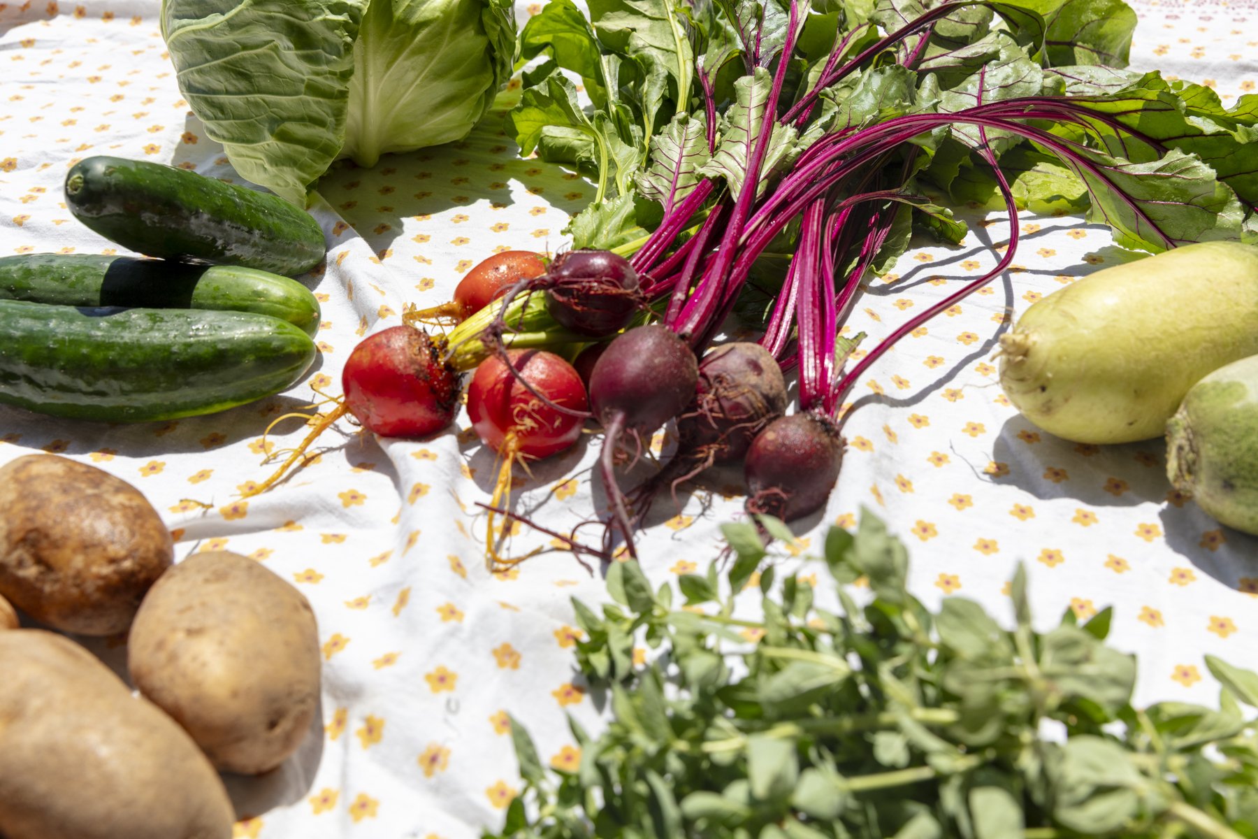Just Veggies