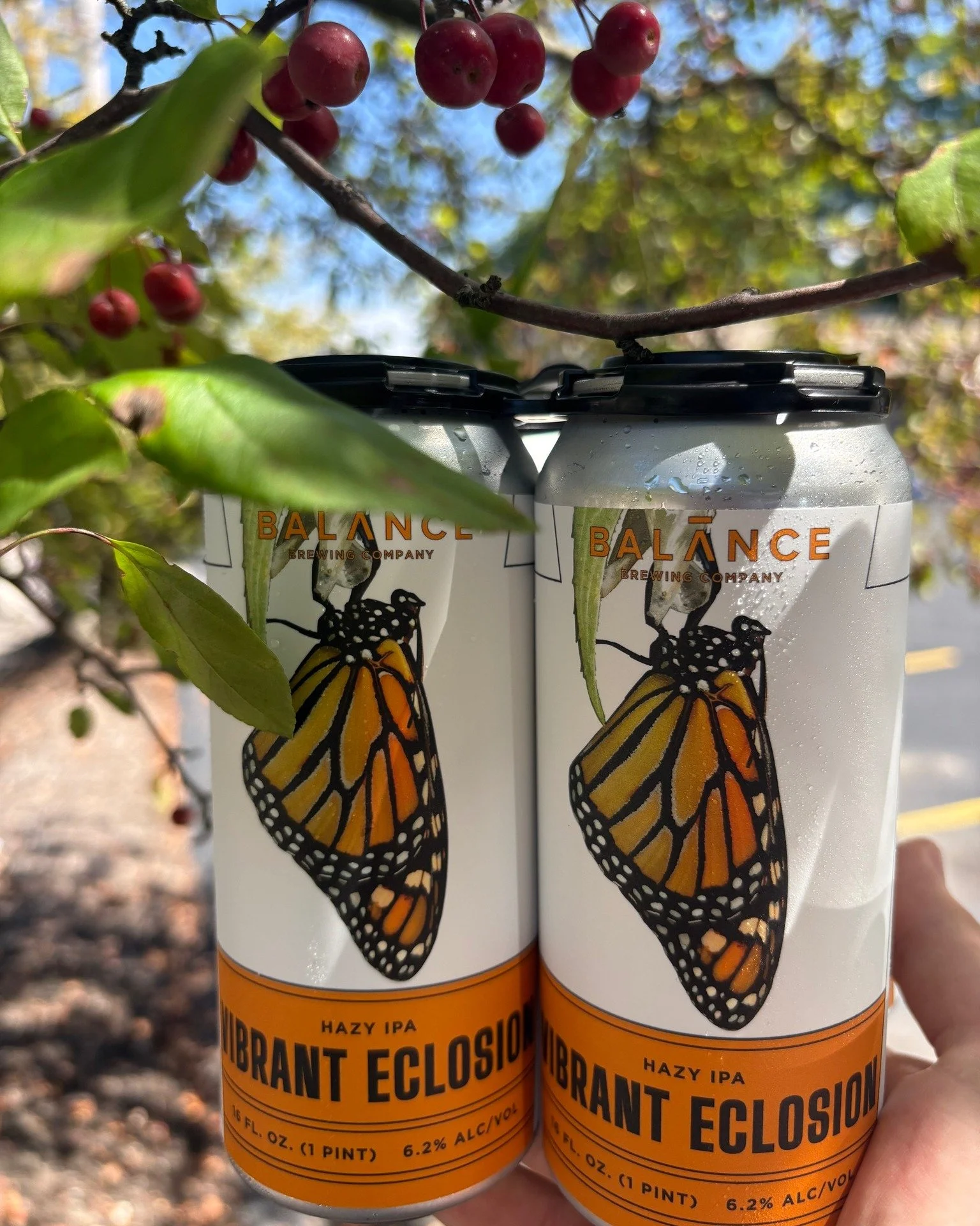 🦋 NEW BEER ALERT! 🦋

Our new Hazy IPA, Vibrant Eclosion, just landed! Named after the breathtaking emergence of monarch butterflies, this beauty is bursting with Citra &amp; Galaxy hops for the ultimate tropical, citrus experience.

TODAY ONLY: 🍻 