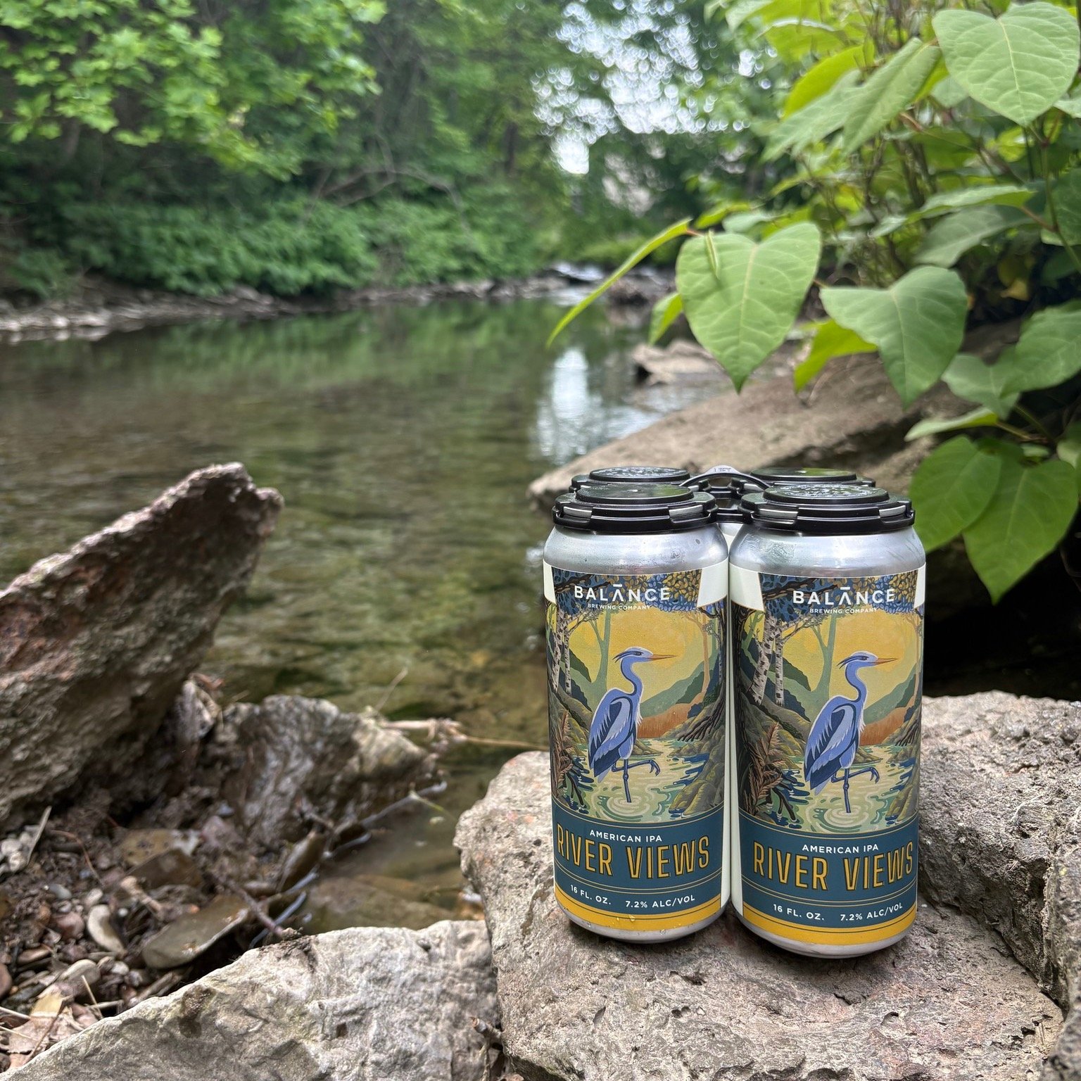 The Heron is back! 🐦 Our beloved River Views American IPA is back on draft AND in cans starting tomorrow! Swipe to see the full schedule for the weekend➡

FRIDAY: @lapalapapgh food truck makes its FIRST appearance + live music with the @noteastmusic