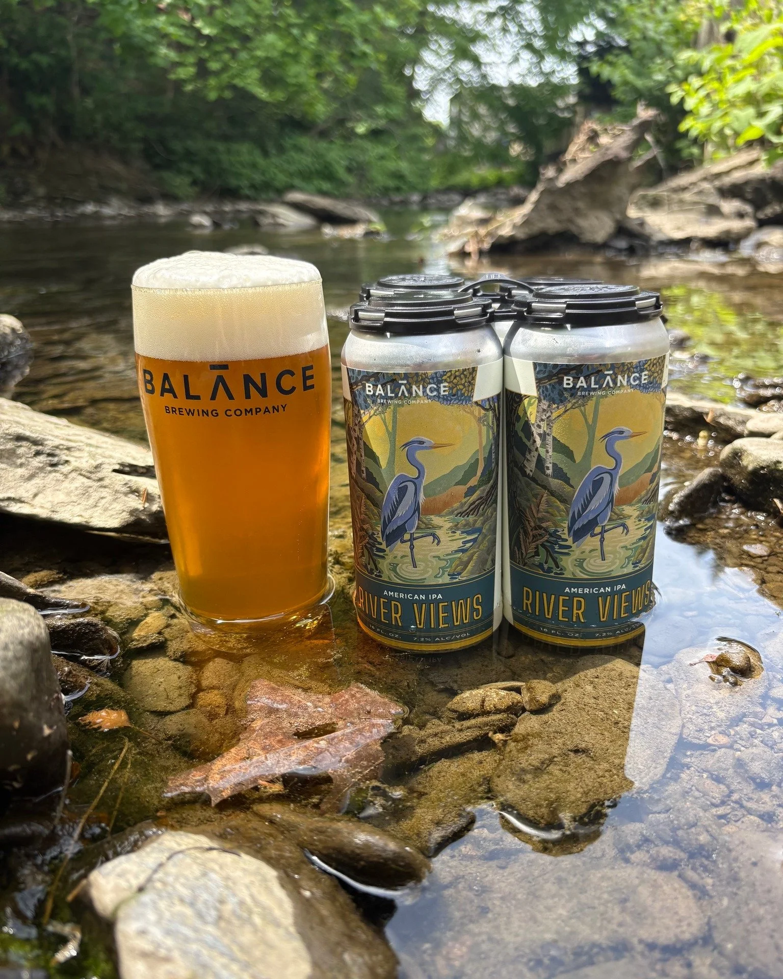 A photograph of a 4 pack of beer cans and a bright orange beer set into a river, balanced on top of flat rocks. The sun is bright, the water is reflective and the whole picture evokes a summer afternoon tubing and drinking beer on the river. 