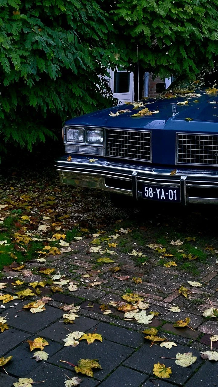 thumbnail_20221014_180924.jpg