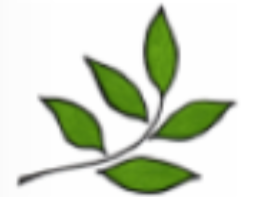 Peaks Island Environmental Action Team (PEAT)